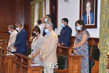 Pleno ordinario de julio de 2022/Francisco Javier Santana.